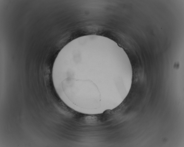X0000089440279200707131912