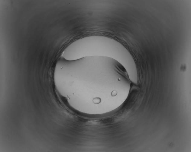 X0000089440280200707131912