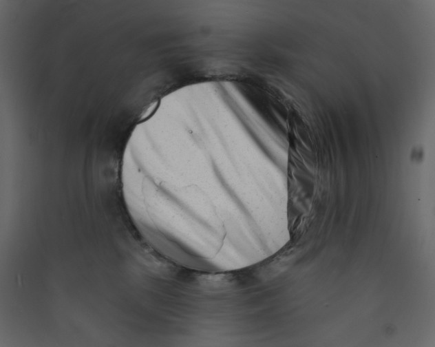 X0000089440281200707131912