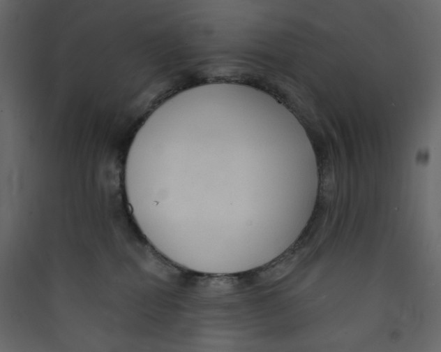 X0000089440282200707131912