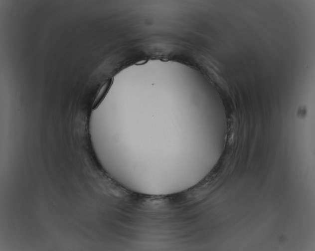 X0000089440283200707131912