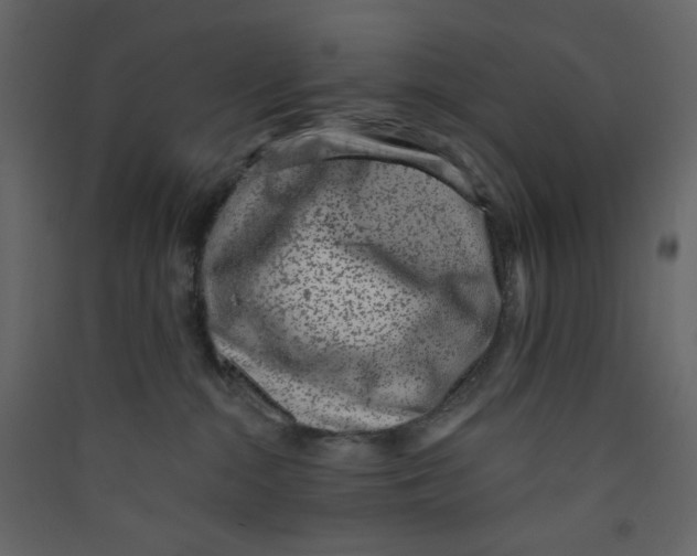 X0000089440284200707131912