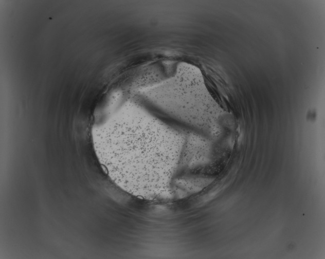 X0000089440285200707131912