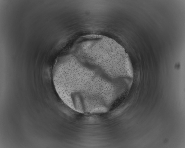 X0000089440286200707131912