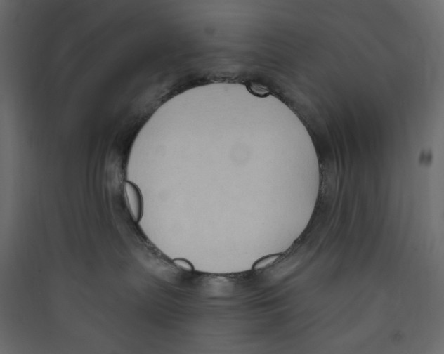 X0000089440287200707131912