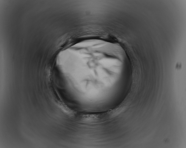 X0000089440288200707131912