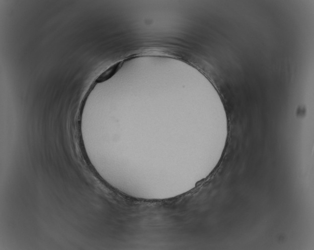 X0000089440289200707131911