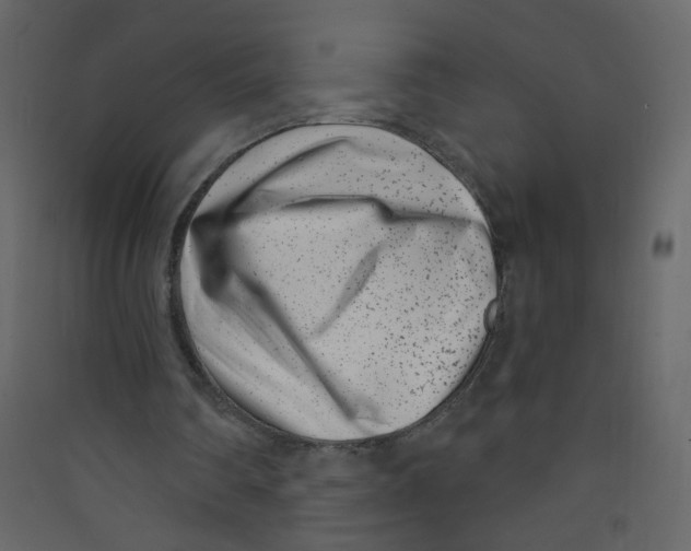 X0000089440290200707131911