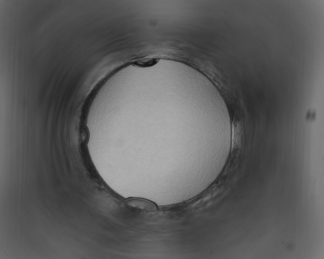 X0000089440291200707131911