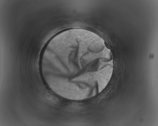X0000089440292200707131911