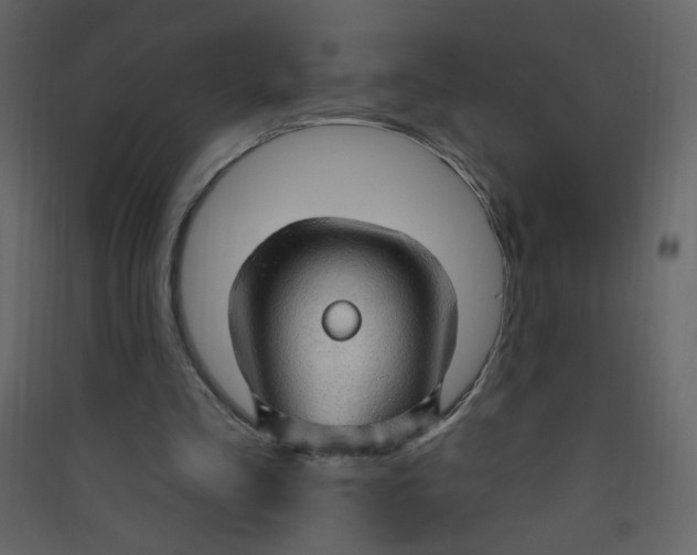 X0000089440293200707131911
