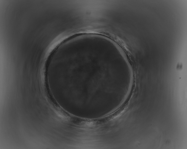 X0000089440295200707131911