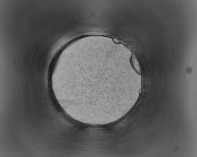 X0000089440296200707131911