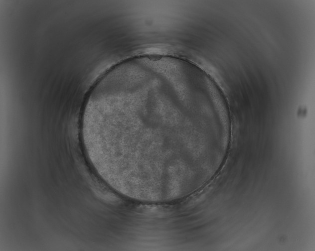 X0000089440297200707131911