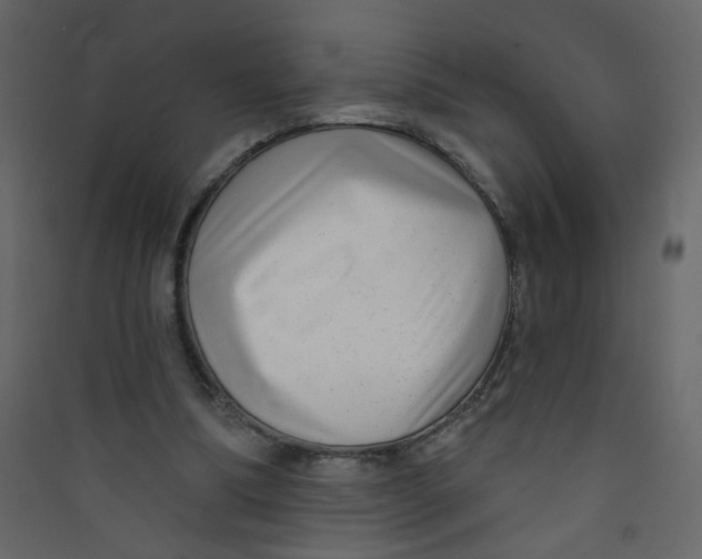 X0000089440298200707131911