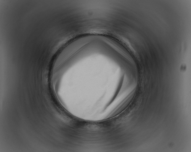 X0000089440299200707131911