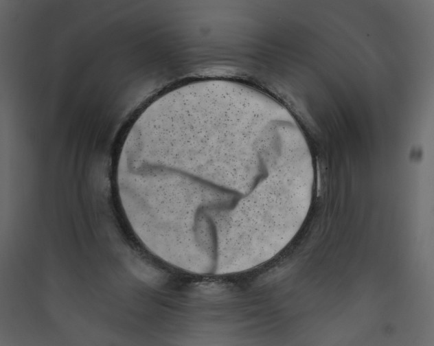 X0000089440300200707131911
