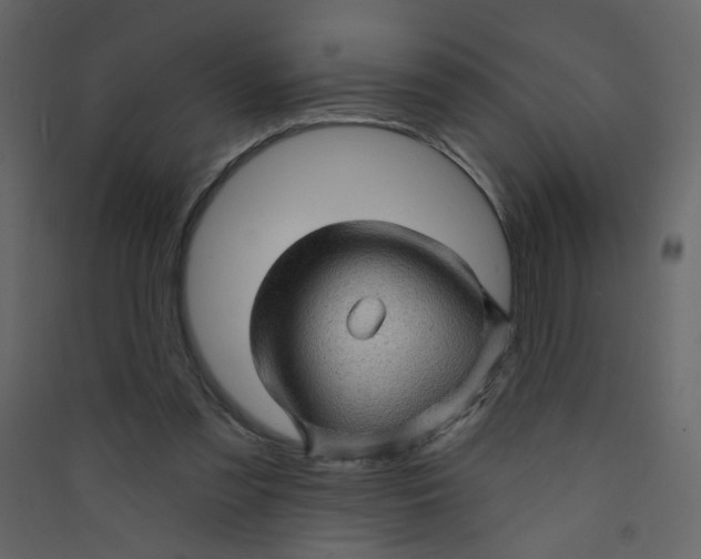 X0000089440301200707131911