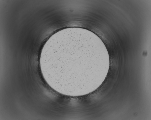 X0000089440302200707131911