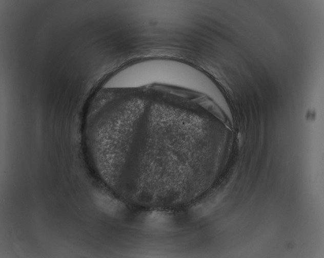 X0000089440303200707131911