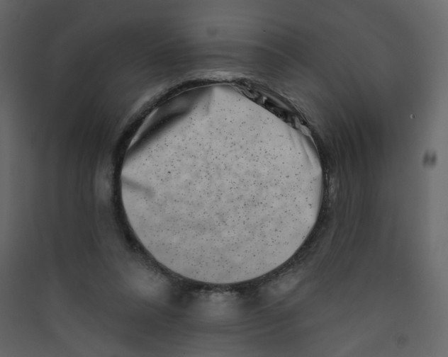 X0000089440304200707131911