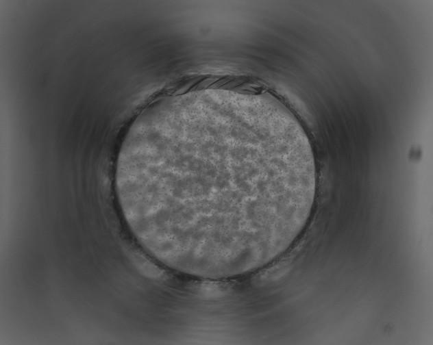 X0000089440305200707131911