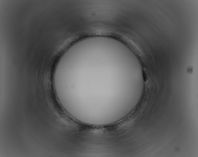 X0000089440306200707131911