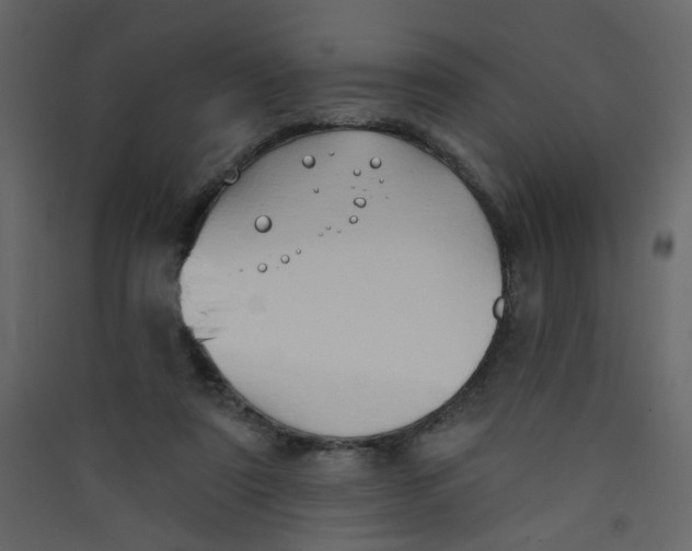 X0000089440307200707131911
