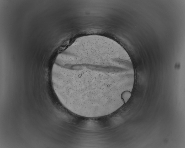 X0000089440308200707131911