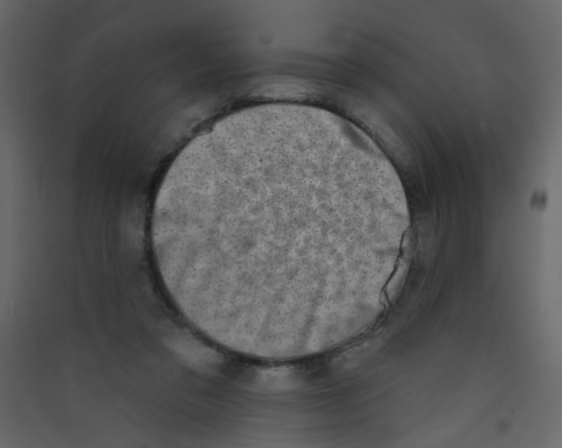 X0000089440309200707131911