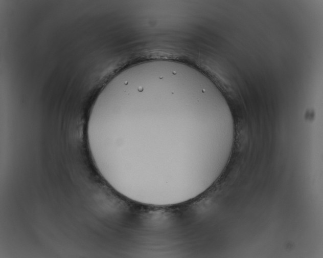 X0000089440310200707131911