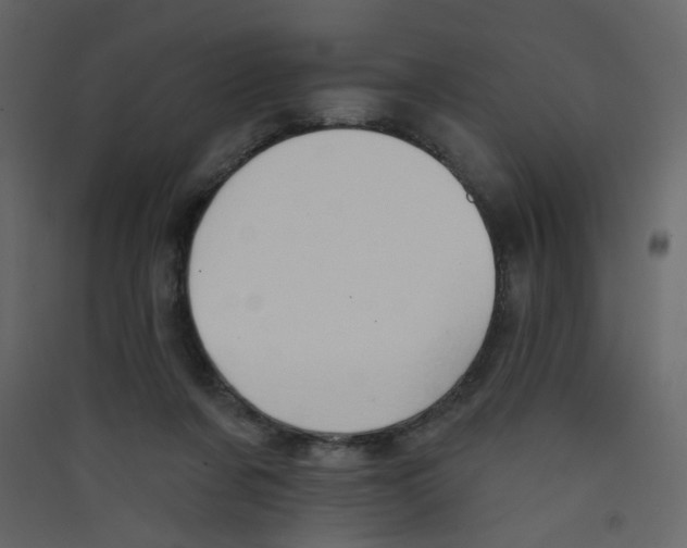 X0000089440311200707131911