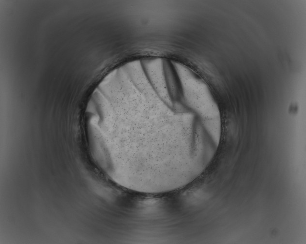 X0000089440312200707131911