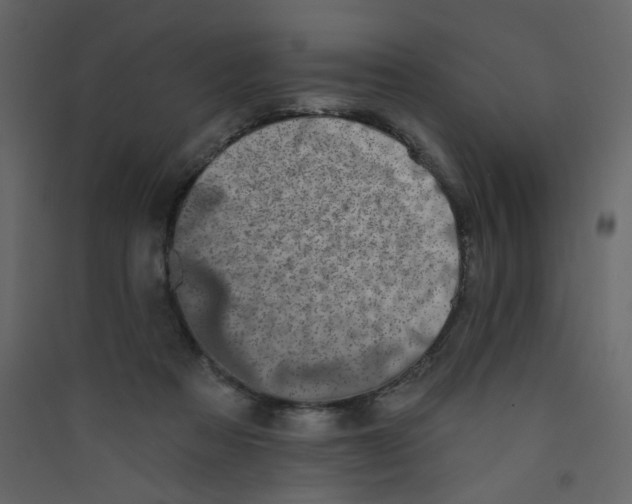 X0000089440313200707131911