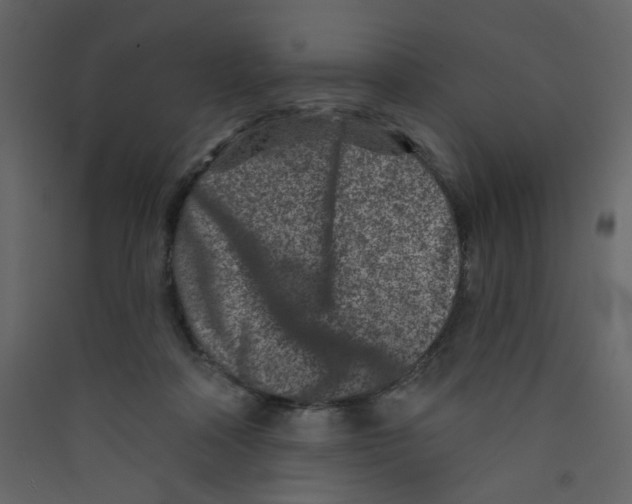 X0000089440314200707131911