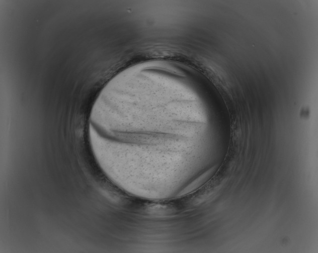 X0000089440315200707131911