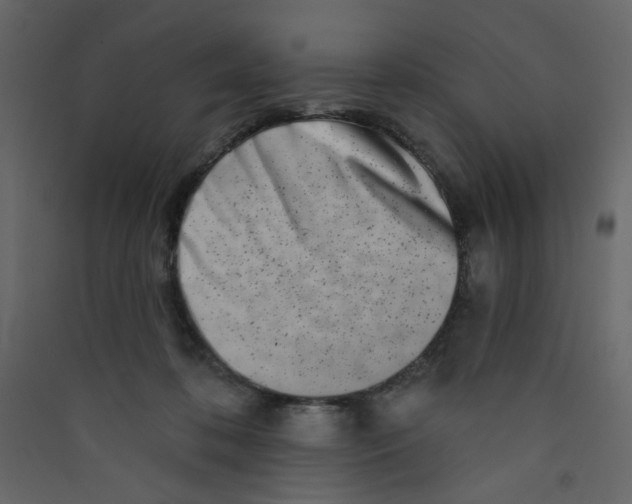 X0000089440316200707131911