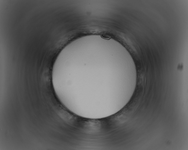 X0000089440317200707131911
