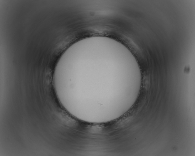 X0000089440318200707131911