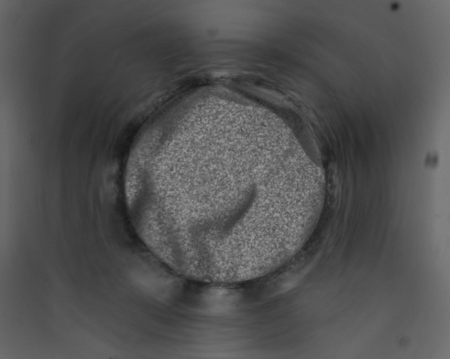 X0000089440319200707131911