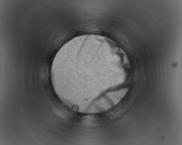 X0000089440320200707131911