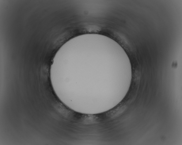 X0000089440321200707131911