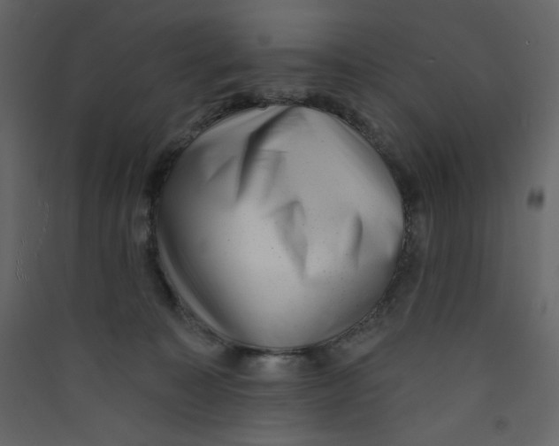 X0000089440323200707131911