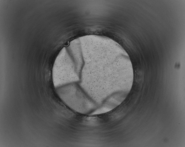 X0000089440324200707131911