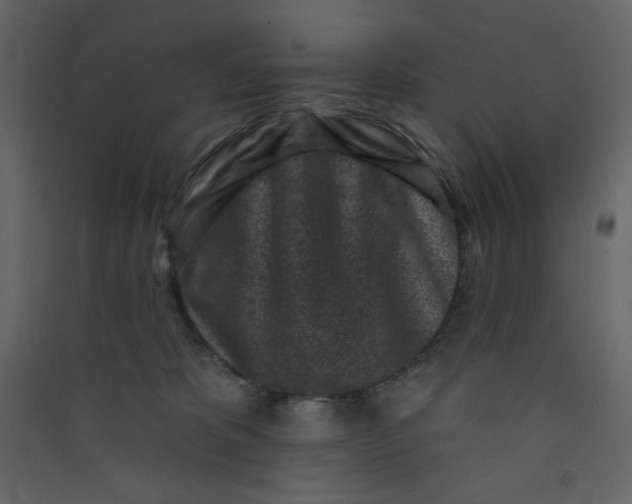 X0000089440325200707131911