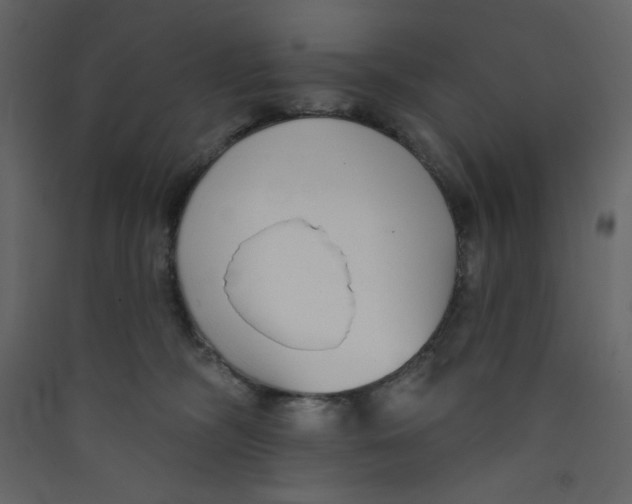 X0000089440326200707131911