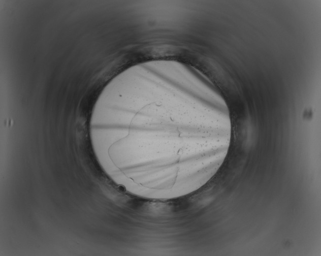 X0000089440327200707131911