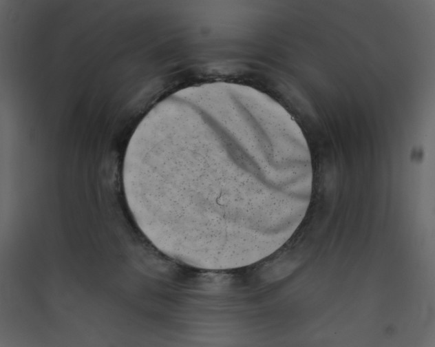 X0000089440328200707131911