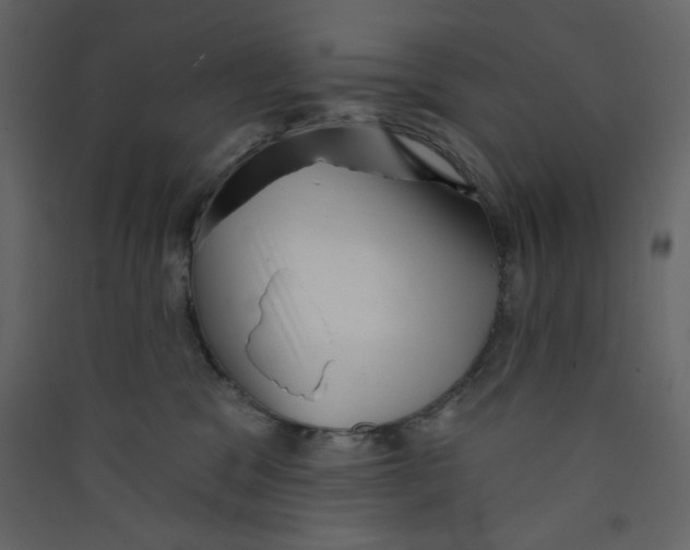 X0000089440329200707131911