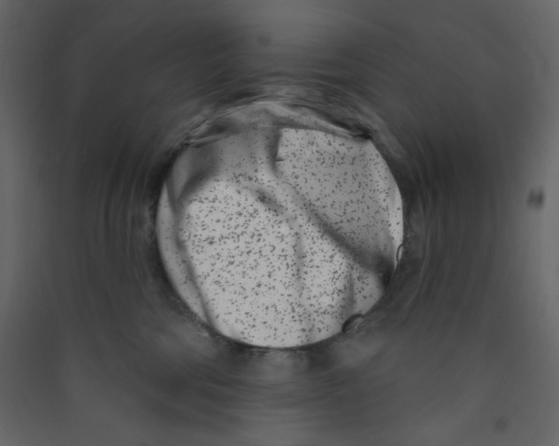 X0000089440330200707131911